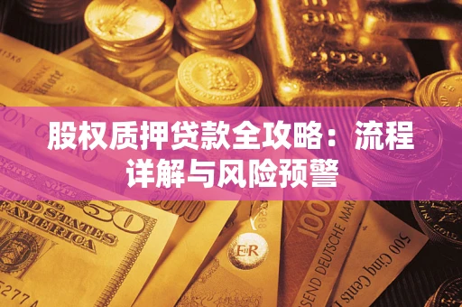 北京股权质押贷款全攻略：流程详解与风险预警