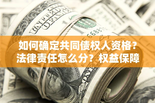 北京如何确定共同债权人资格？法律责任怎么分？权益保障技巧揭秘！