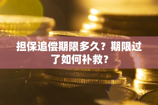 北京担保追偿期限多久？期限过了如何补救？