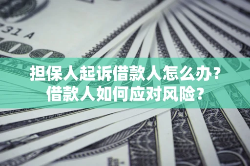 北京担保人起诉借款人怎么办？借款人如何应对风险？