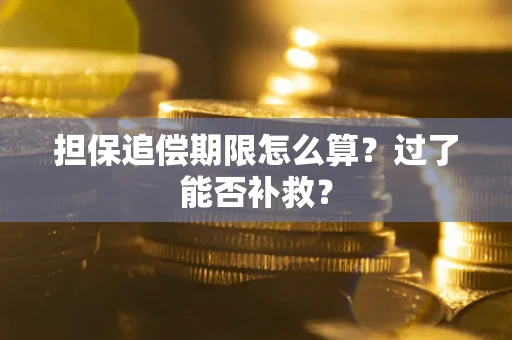 北京担保追偿期限怎么算？过了能否补救？